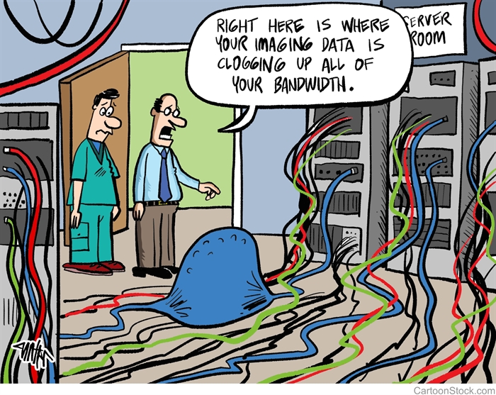 Bandwidth Visualization Cartoon Humor: Is Bandwidth a Non-Functional Requirement?